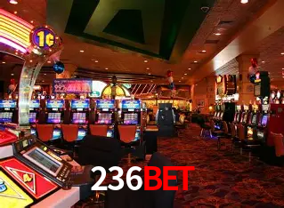 Descubra o Mundo do Cassino Online com 236bet